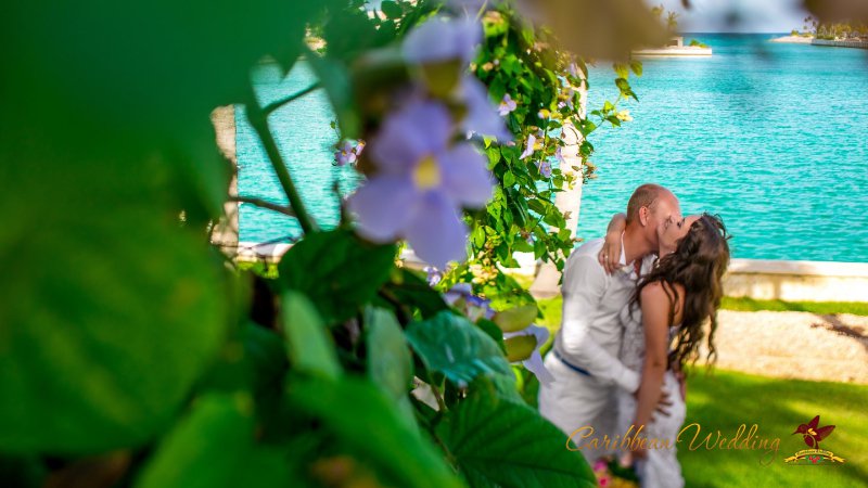 http://caribbean-wedding.ru/wp-content/gallery/svadba-v-dominicane/svadba-v-dominicane-81.jpg