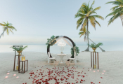 punta_cana_proposal-2