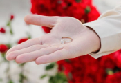 punta_cana_proposal-20