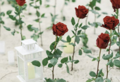 punta_cana_proposal-1