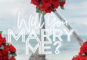 punta_cana_proposal-3