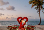 punta-cana-proposal-21