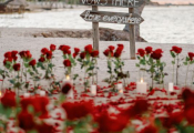 punta-cana-proposal-5