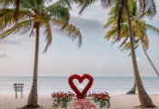 punta-cana-proposal-1
