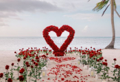 punta-cana-proposal-2