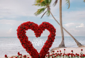 punta-cana-proposal-4