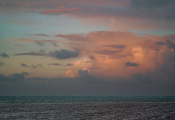 punta-cana-proposal-54