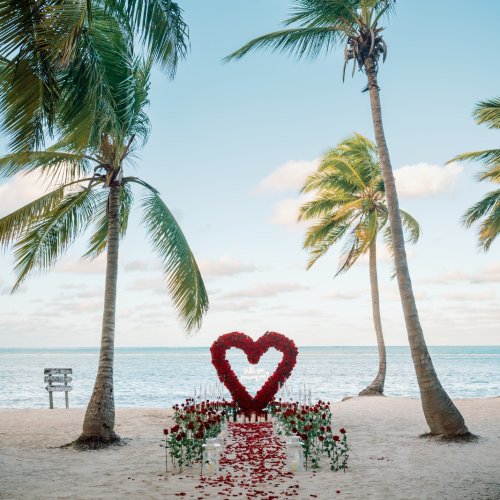 punta-cana-proposal-1