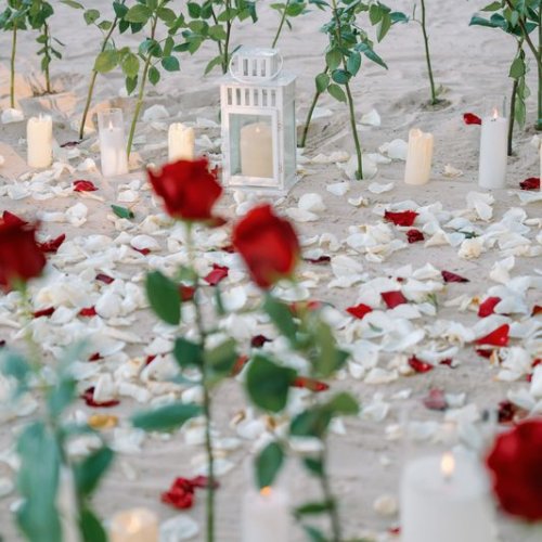 punta-cana-proposal-2