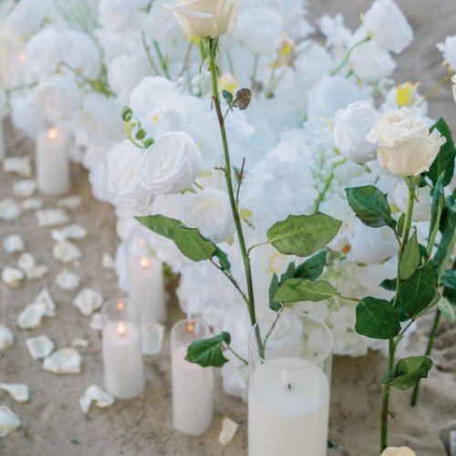 punta-cana-proposal-4