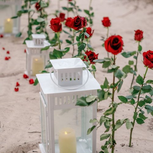 punta-cana-proposal-2