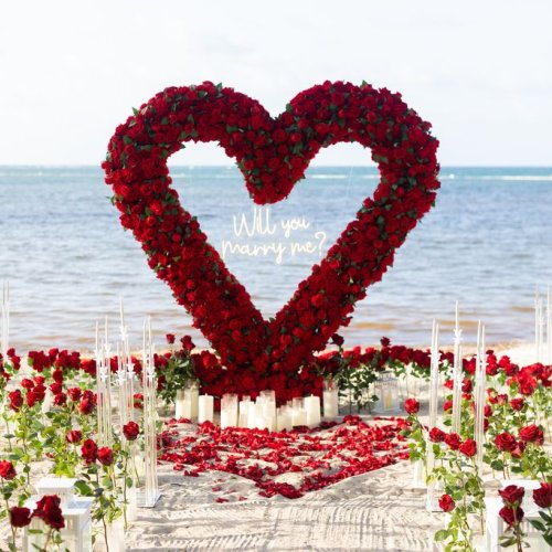 punta-cana-proposal-3