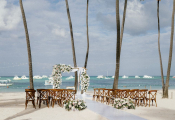 jellyfish_punta_cana-22