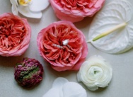 Видеограф в Пунта-Кане: Запечатлейте Ваши особые моменты в потрясающем кинематографическом качестве